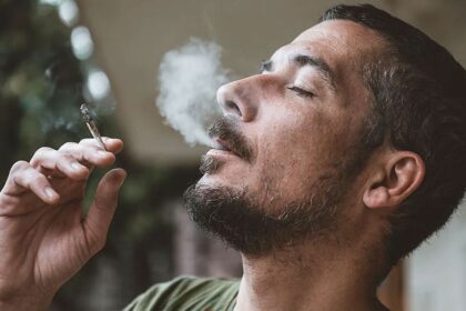 DR MARC SIEGEL: Americas awful marijuana addiction is spreading from parents to kids